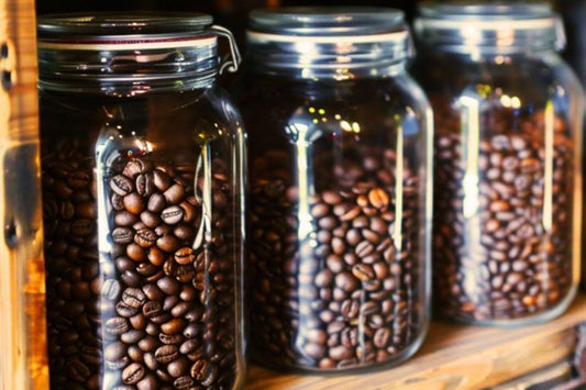 How to Store Coffee Beans for Maximum Freshness