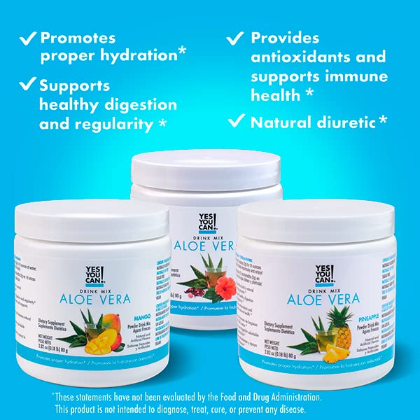 Yes You Can! Detox Plus Kit (Meal Replacement Strawberry, Aloe Vera Hibiscus) - Complete Meal Replacement Powder, High Energy Shake Booster, Aloe Vera Detox Supplement, Health Transformation