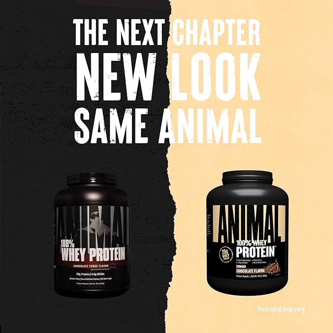 Animal 100% Whey Protein Powder – Whey Blend for Pre Workout or Post Workout, Recovery, or an Anytime Low Sugar Protein Boost Meal Replacement with BCAA Branched Chain Amino Acids – Chocolate, 4 lb