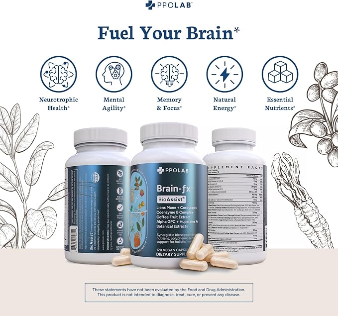 Brain-fx™ Daily Energy Focus Memory Mood Mind Nootropic Supplement - 5-MTHF Methyl B Vitamins, Coffee Fruit, L Theanine, Cordyceps, Lions Mane, Ginseng, Bacopa, Alpha GPC Choline 120 Vegan Capsules