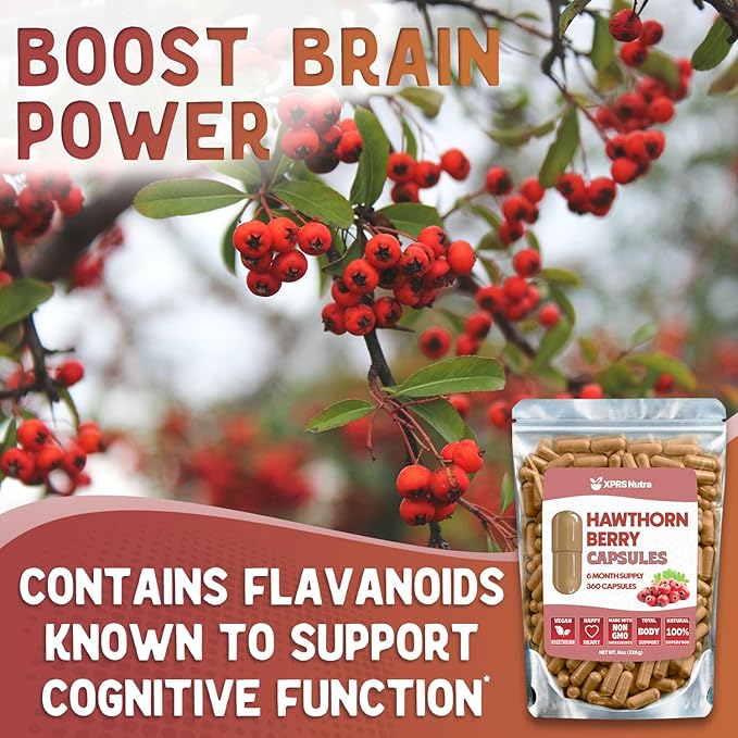 Hawthorn Berry Powder Capsules - 360 Count (6 Month Supply) - Premium Hawthorn Berry Capsules for Cardiovascular Support - Hawthorne Berry Powder - An Ideal Hawthorne Supplement for Men and Women
