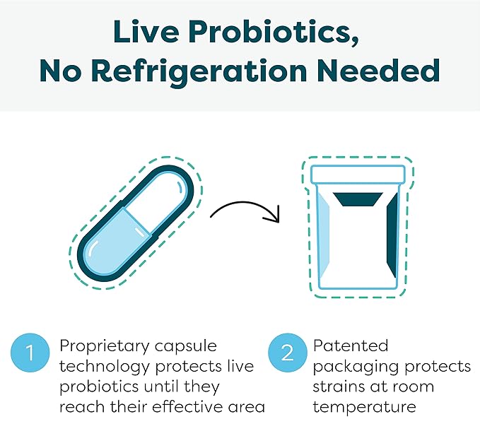 Klaire Labs Ther-Biotic Synbiotic Probiotic & a Prebiotic - Digestive Health & Immune Support∗ - Lactobacillus & Bifidobacterium Strains - Low-FODMAP Probiotic Supplement for Men & Women (60 Capsules)