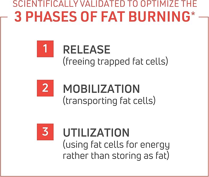 Novex Biotech ThermoDyne - Thermogenic Fat Burner – Appetite Suppressant – Metabolism Boost – Burn Calories – Energy Booster – Improve Focus – Fat Burning Pills – Promote Lean Muscle Tone - 120 Pills