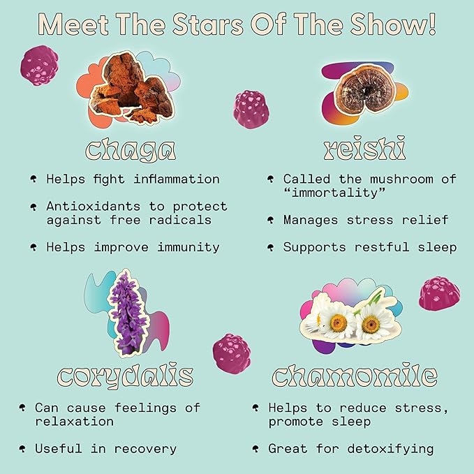 SuperMush Sleep Gummies for Adults - Mushroom Supplement with Magnesium Citrate, L-Theanine, Chaga, Reishi & Chamomile for Deep Sleep, REM & Detox - Vegan & Sugar-Free - 60 Gummies (30 Servings)