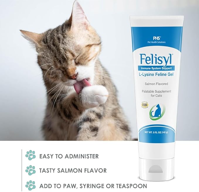 L-Lysine Gel for Cats - Immune System Support - Supplement Support for Healthy Tissue, Respiratory, and Vision - Salmon-Flavored - Made in The USA - 5 oz (6 Pack)
