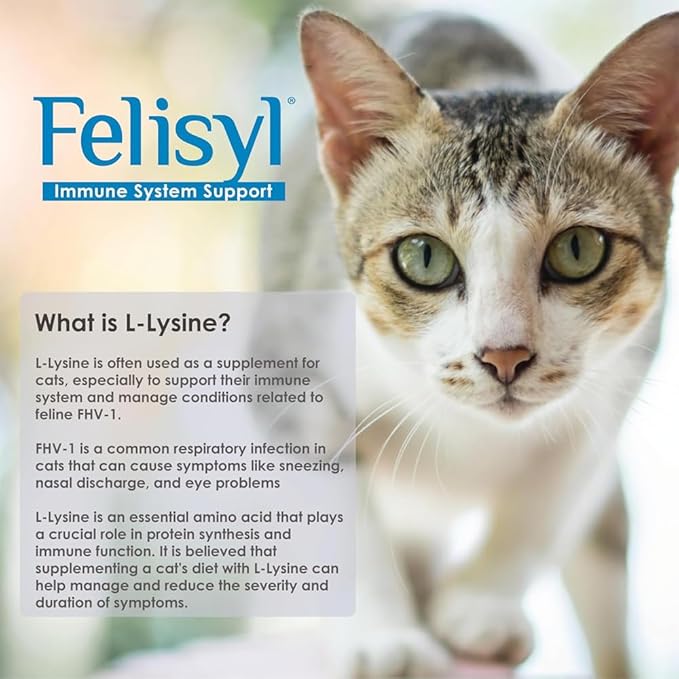 L-Lysine Gel for Cats - Immune System Support - Supplement Support for Healthy Tissue, Respiratory, and Vision - Salmon-Flavored - Made in The USA - 5 oz (6 Pack)