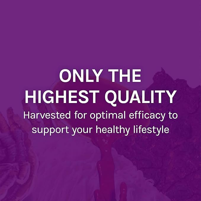 Host Defense MyCommunity Capsules - 17 Species Blend Mushroom Supplement for Immune Support - Herbal Aid with Lion's Mane, Reishi. Chaga, Cordyceps, Turkey Tail & More - 60 Capsules (30 Servings)*