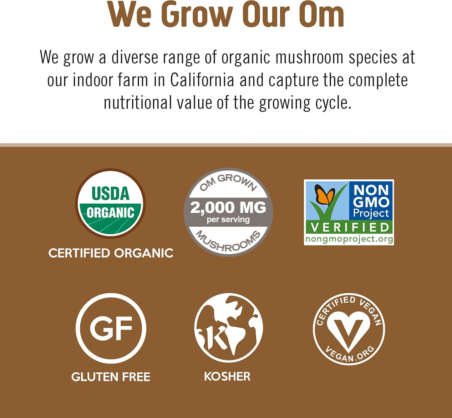 OM MUSHROOM SUPERFOOD Coffee Latte Blend Mushroom Powder, Single Serve, 10 Count, Lion's Mane, Cordyceps, Reishi, Chaga, Energy & Mental Clarity Support Supplement