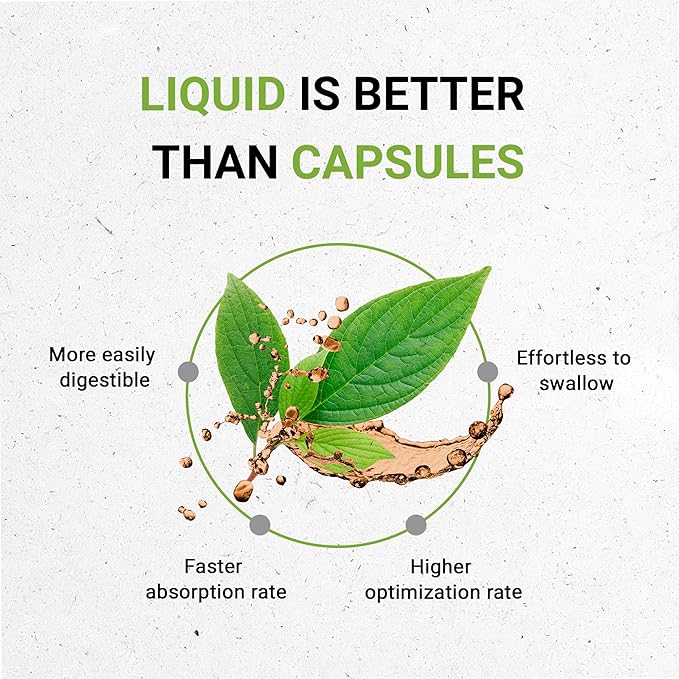 Red Clover Herb USDA Organic Tincture | Alcohol-FREE Extract, High-Potency Herbal Drops | Made from 100% Certified Organic Red Clover Herb (Trifolium Pratense) Dried Leaf and Flower 2 oz-HarmonyPath Wellness